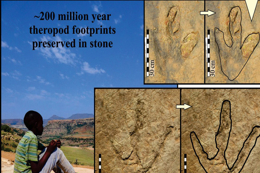 بزرگ‌ترین ردپای دایناسورها در لسوتو آفریقای جنوبی کشف شد