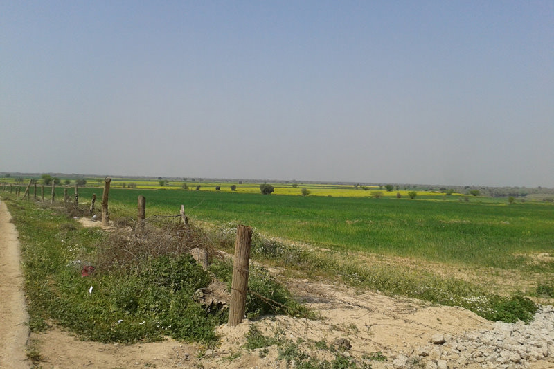 طبیعت شوش