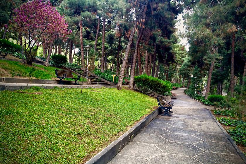 پارک ساعی، ساخته پدر جنگلداری ایران