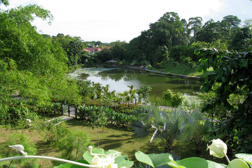 باغ‌های گیاه‌شناسی سنگاپور