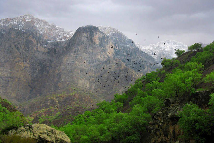 دره عشق؛ بهشتی در دل طبیعت وحشی شهرکرد