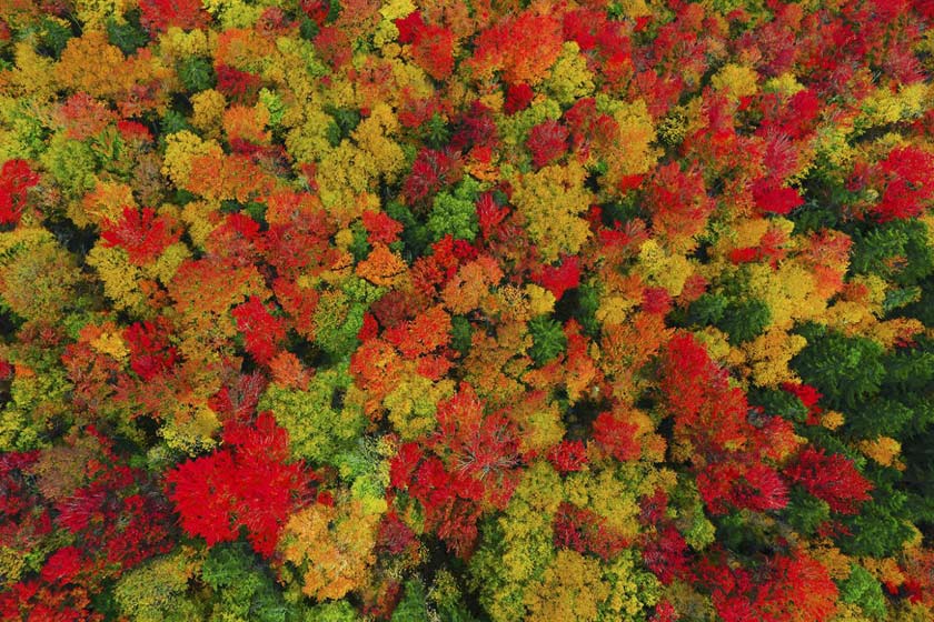 زیبایی مناظر پاییزی در قاب تصاویر هوایی (قسمت اول)