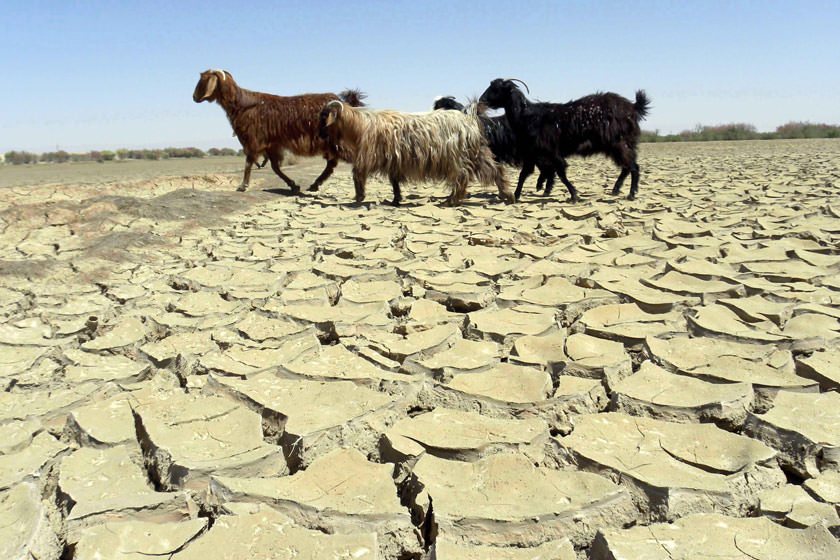 ۵ استان کشور در خطر خشکسالی