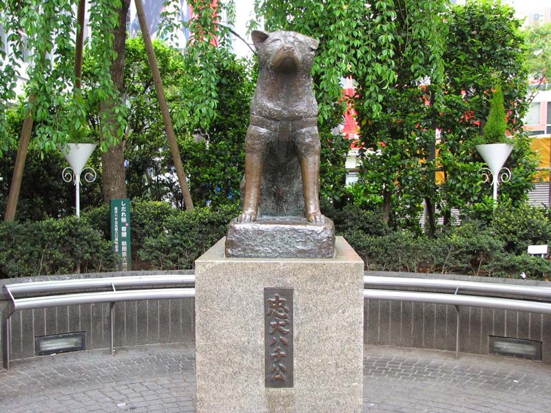 مجسمه‌ی هاچیکو