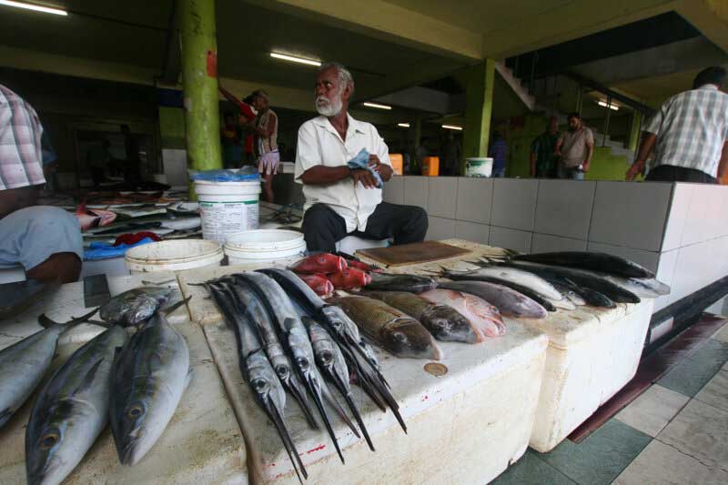 پیرمرد ماهی فروش در حال فروش شمشیرماهی در بازار بزرگ ماهی ماله