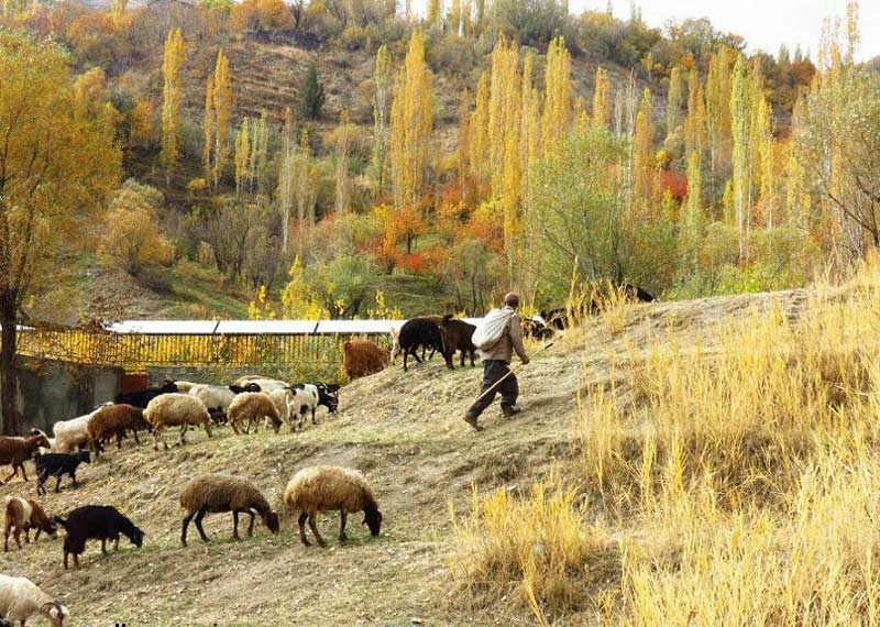 روستای کلوان نما یکی از بهترین جاهای دیدنی استان البرز