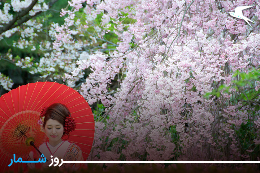 روزشمار: ۳۰ اسفند؛ جشنواره شکوفه گیلاس، ژاپن