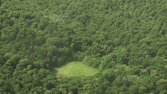 جنگل مرموز و تسخیر شده هویا در رومانی