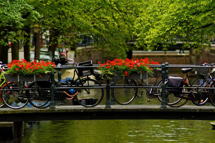 دوچرخه های آمستردام