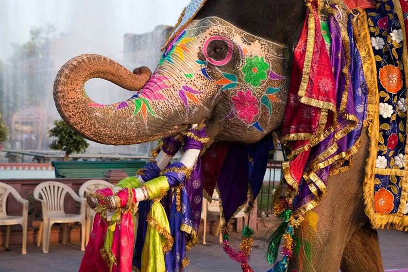 زیباترین جشنواره‌های هند کدامند؟