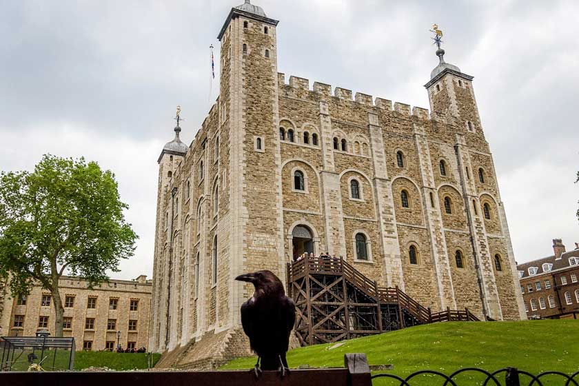 کلاغ های سیاه برج لندن، محافظان سلطنت بریتانیا