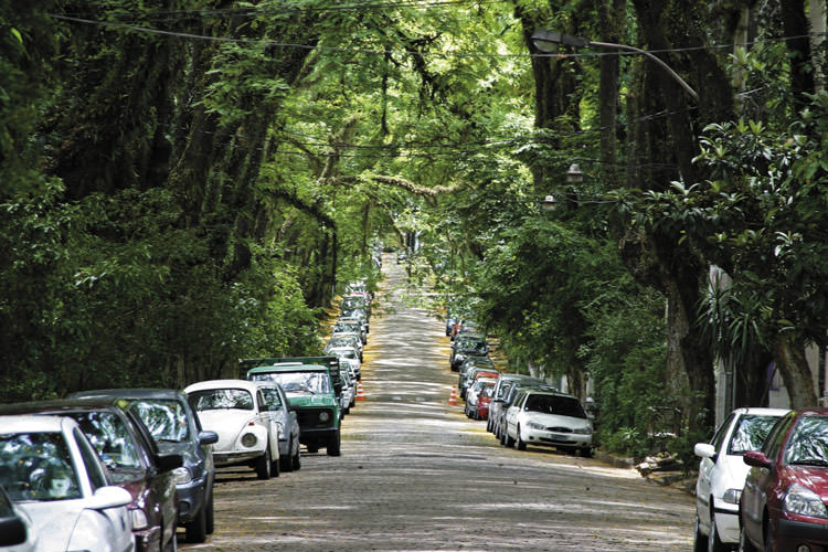 خیابان زیبا در برزیل