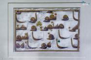 کتابت قرآن - موزه عباسی