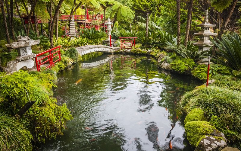 باغ ژاپنی با برکه و پوشش گیاهی سرسبز