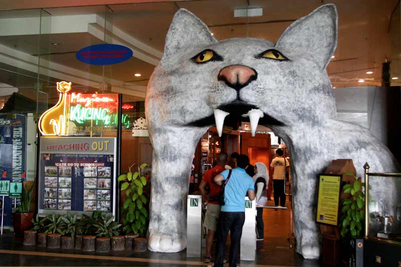 کوچینگ مالزی شهر گربه ها