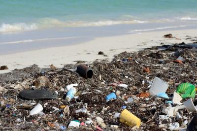کامیلو؛ ساحلی از زباله در هاوایی