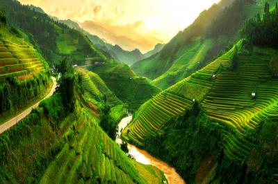 ۱۰ دلیل که شما را برای سفر به ویتنام تشویق می‌کند