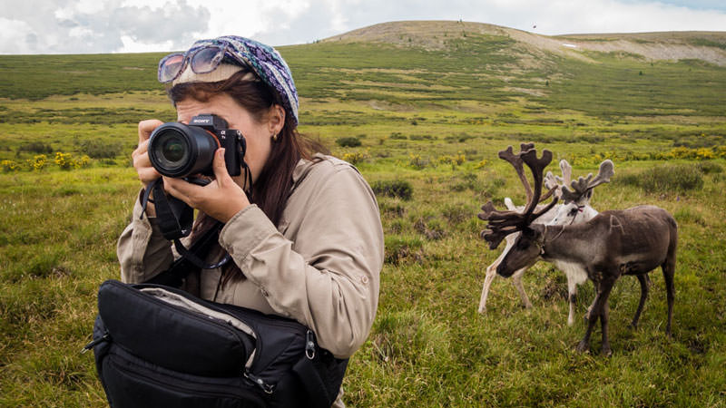 بهترین دوربین عکاسی برای سفر کدام است؟ - کجارو