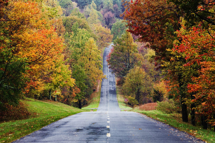 سفر جاده ای پاییزی، تجربه ای رنگارنگ