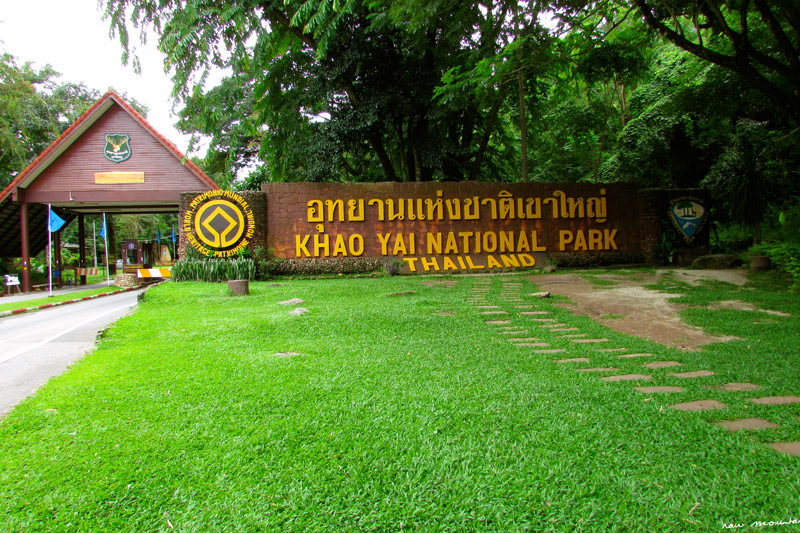 پارک کلی کاو یای تایلند