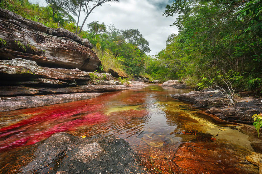 رودخانه کانیو کریستالس، رودخانه رنگین کمانی در کلمبیا