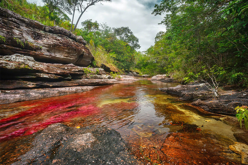 زیباترین رودخانه دنیا، کانیو کریستالس در کلمبیا