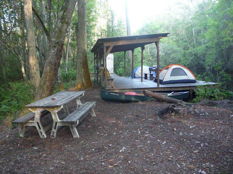 قایقرانی را در باتلاق Okefenokee جورجیا تجربه کنید کجارو