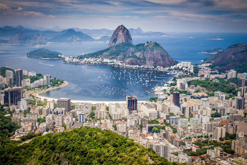 بهترین زمان سفر به برزیل با توجه به علائق دوستداران سافاری (قسمت اول)