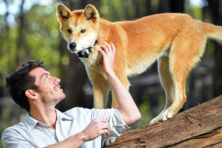 باغ وحش های فوق العاده استرالیا را بشناسید