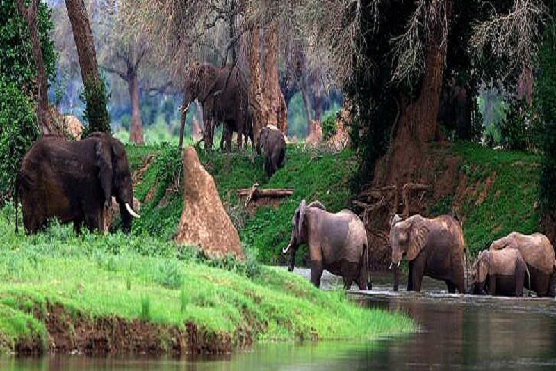 ۵. پارک ملی استخر مانا، زیمبابوه