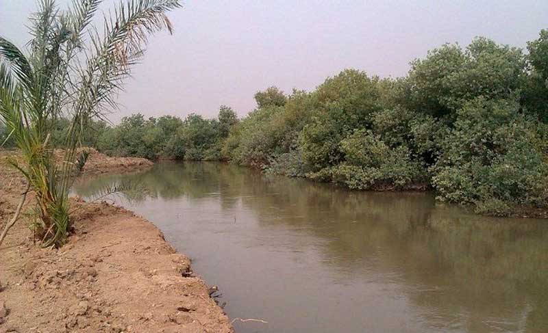 رودخانه شاووردر حال ذر از میان نیزارهای خوزستان