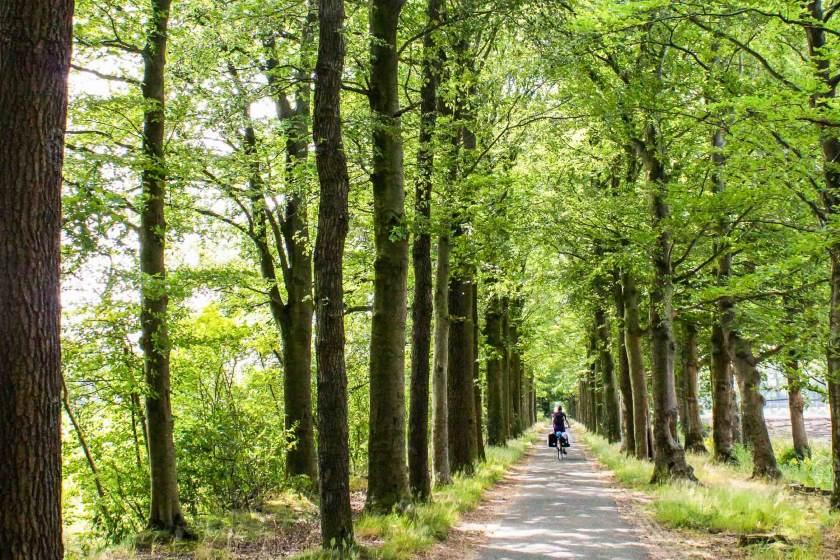 سفری ۴۰۰ کیلومتری با دوچرخه به اعماق طبیعت هلند