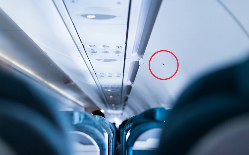 مثلث های سیاه داخل هواپیما