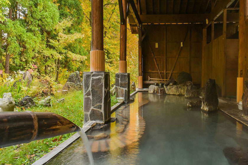 اونسن ها؛‌ چشمه های آب گرم بسیار عجیب در ژاپن