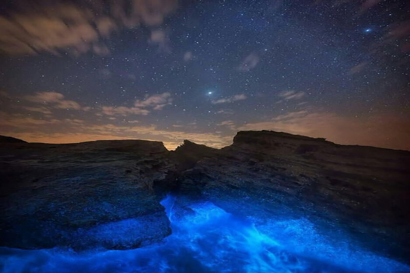 جزیره لارک؛ ناشناخته ای در خلیج فارس