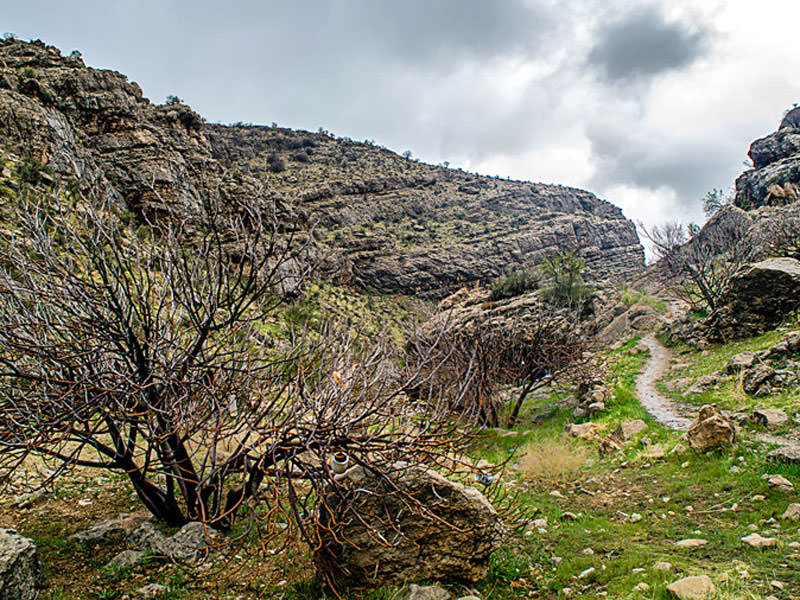 دره شمخال