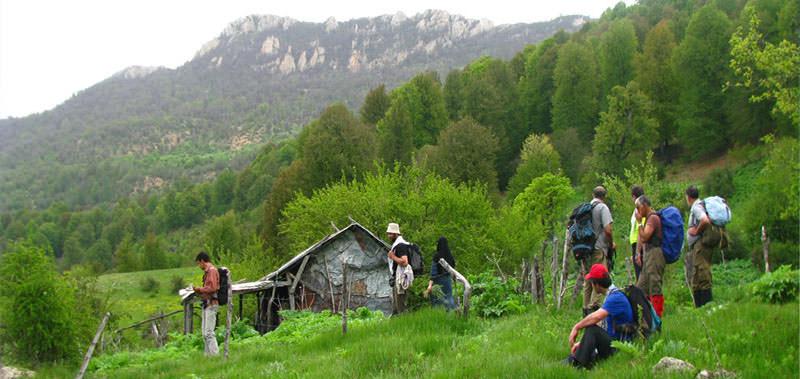 جنگل امام رضا 