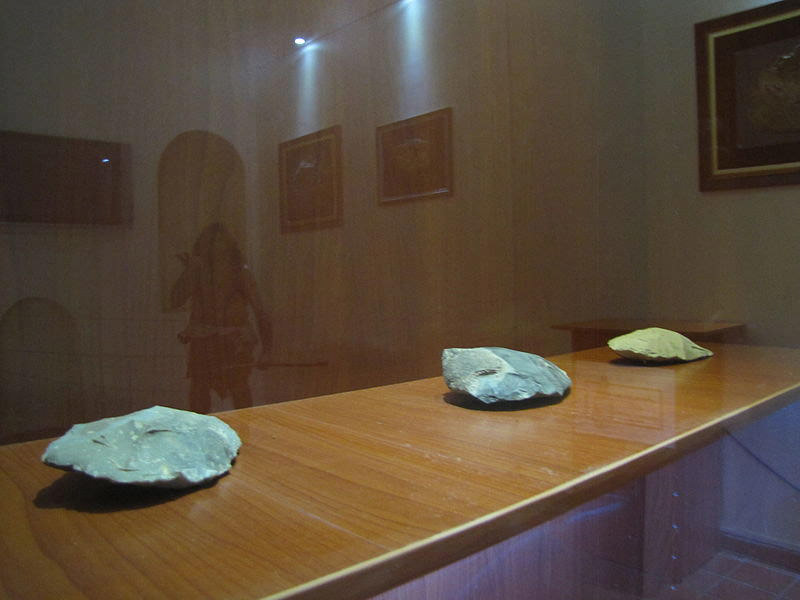 موزه پارینه سنگی زاگرس