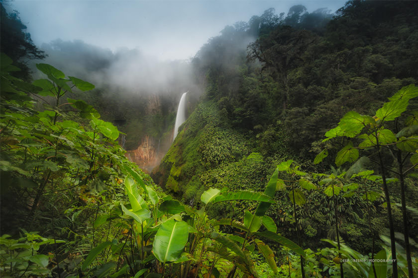 سافاری در کاستاریکا، جلوه ای از تنوع زیستی قابل توجه