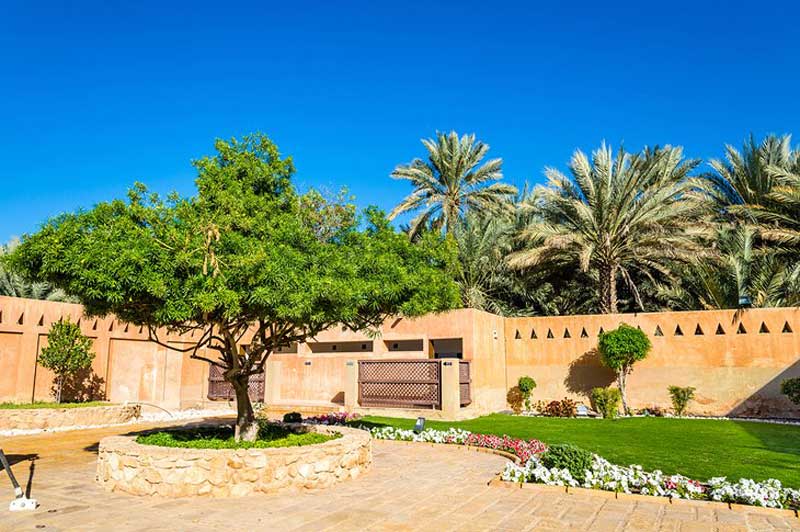 درختان و فضای سبز کاخ موزه العین، امارات
