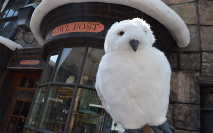  Owl Post