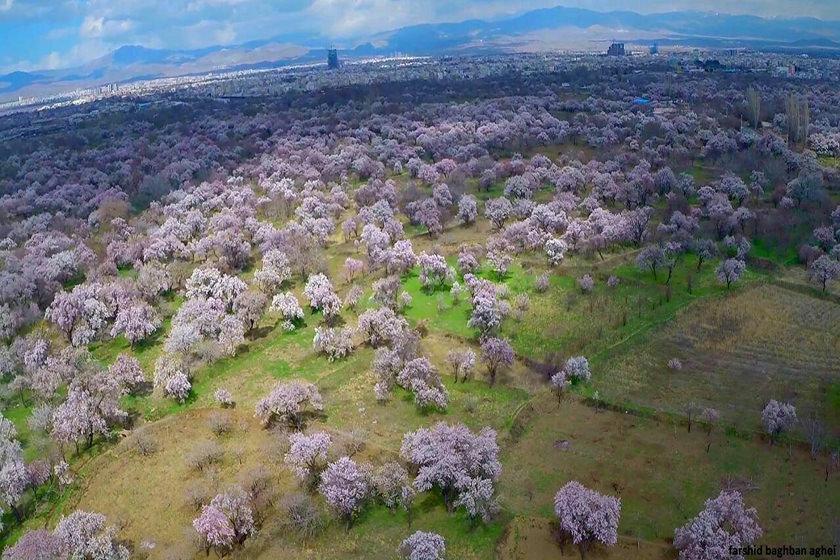 باغستان سنتی، هویت تاریخی قزوین