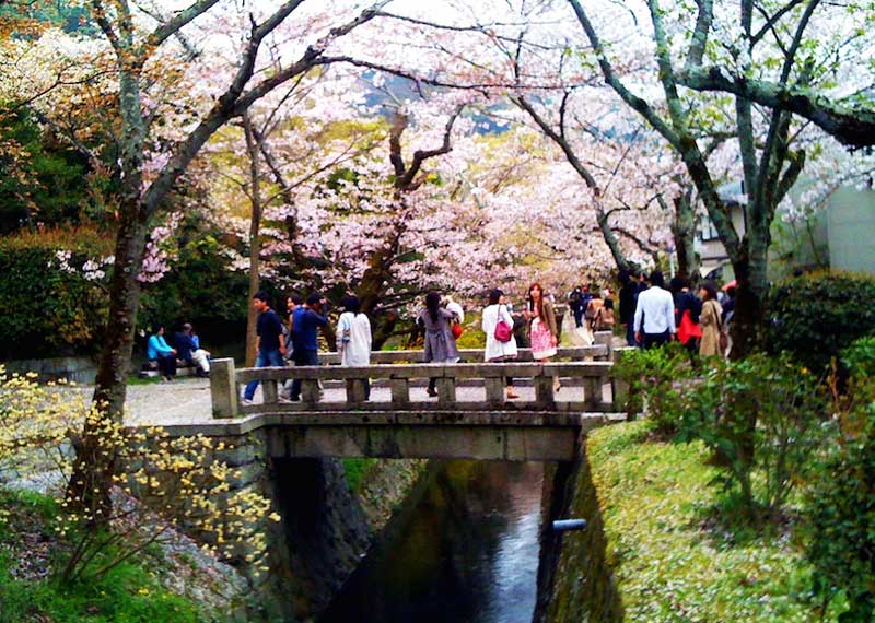 پل چوبی در مسیر پیاده روی فیلسوف کیوتو، ژاپن