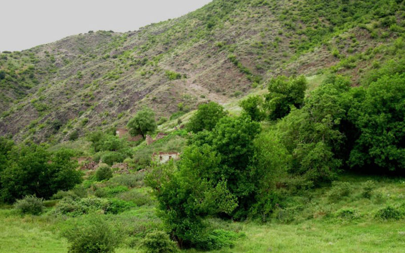 منطقه حفاظت‌شده خیبوس
