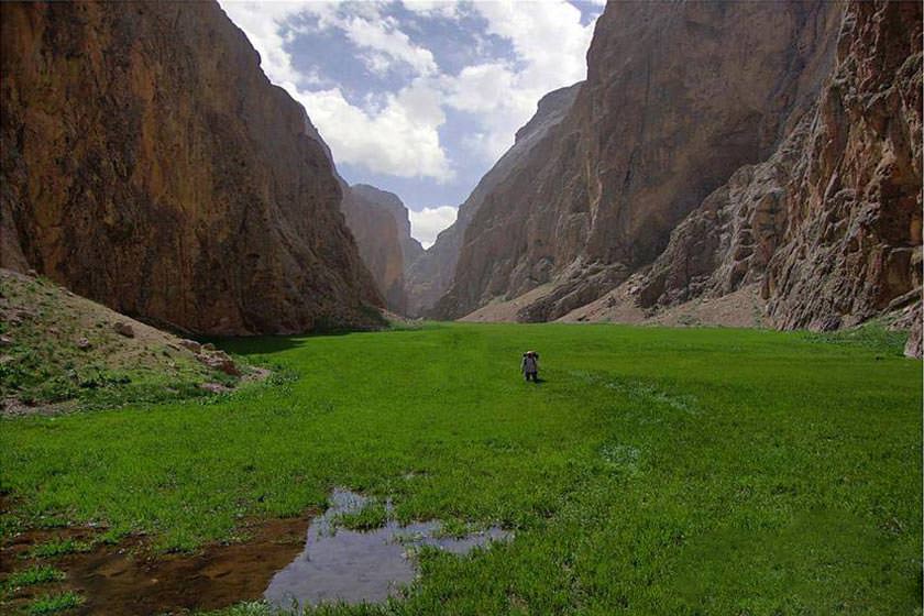 تنگه واشی؛ آشنایی با مقاصد تورهای طبیعت گردی ایران