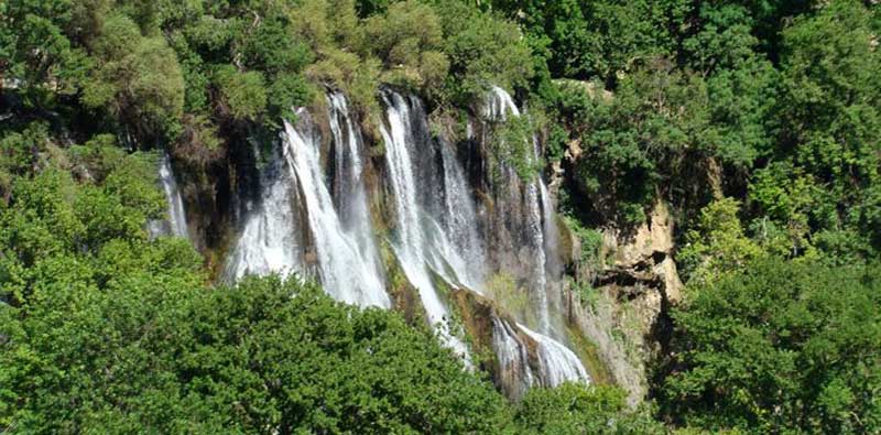 آبشار زردلیمه (بوینه) در بین درختان جنگلی