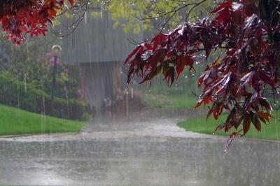 روز پنج‌شنبه اغلب مناطق کشور بارانی خواهد بود