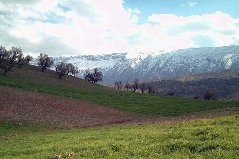 ایلام