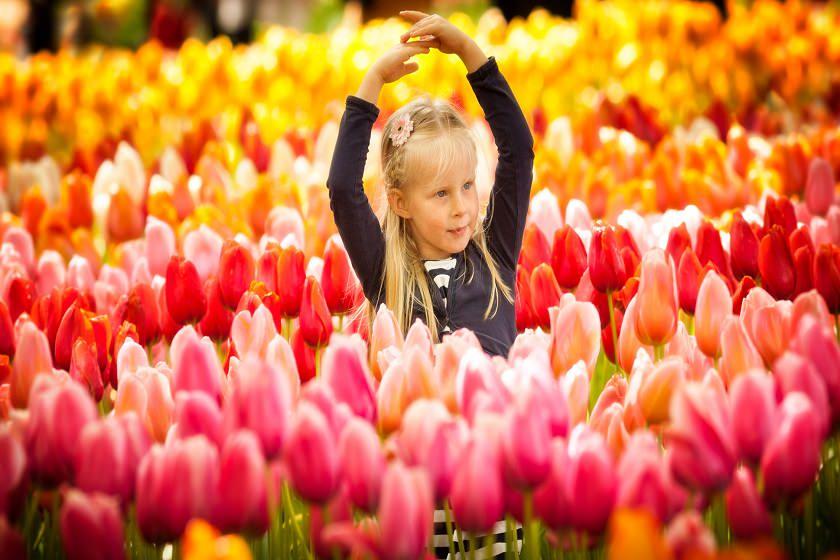 جشنواره باغ کوکنهف هلند، معروف‌ترین باغ گل جهان