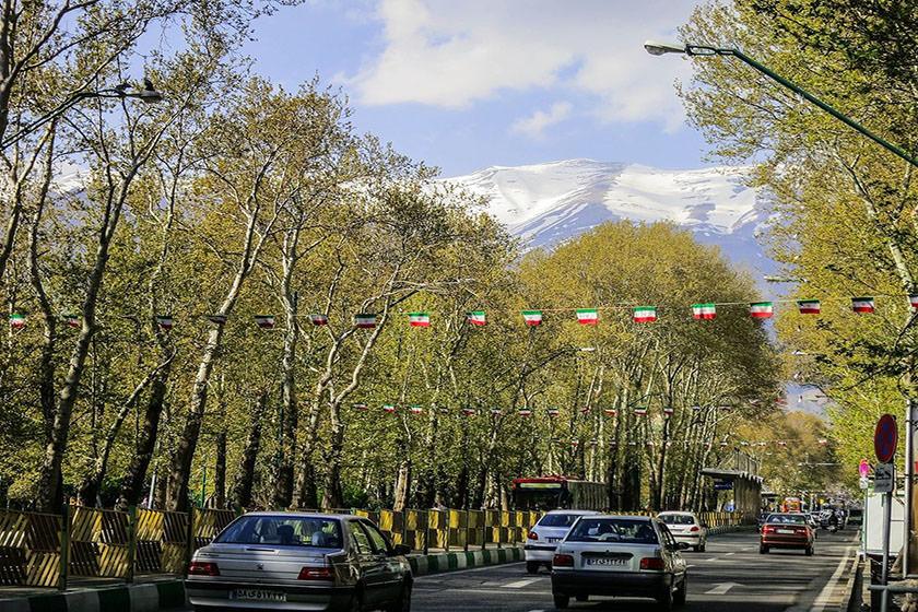 ساماندهی درختان چنار خیابان ولیعصر تهران